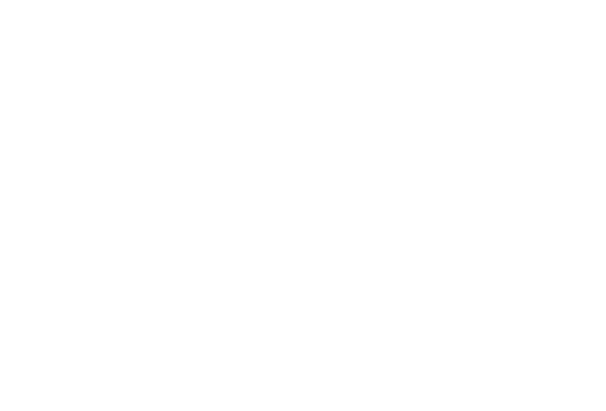 evolvebridge 60x60 (white)tr